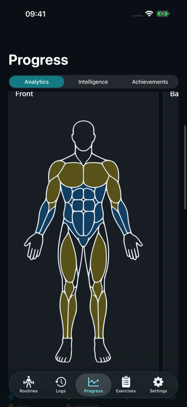 A front body map showing estimated weekly muscle training volume in Stedevo Analytics.